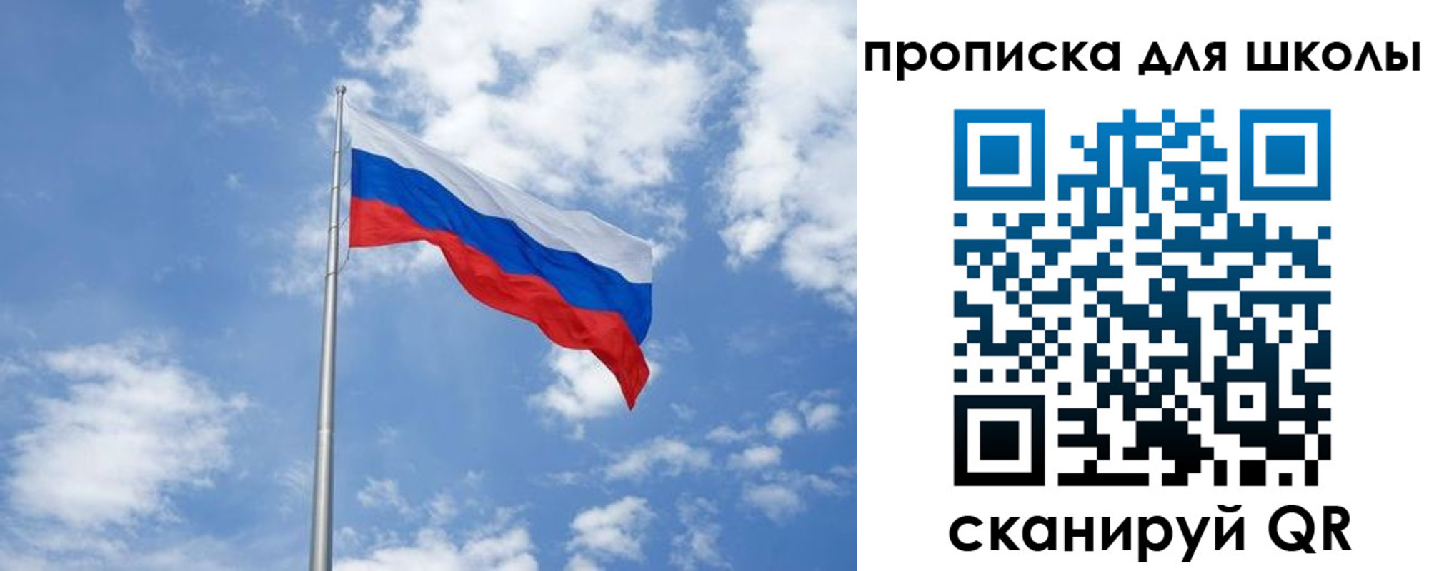 прописка поиск в Светогорске
